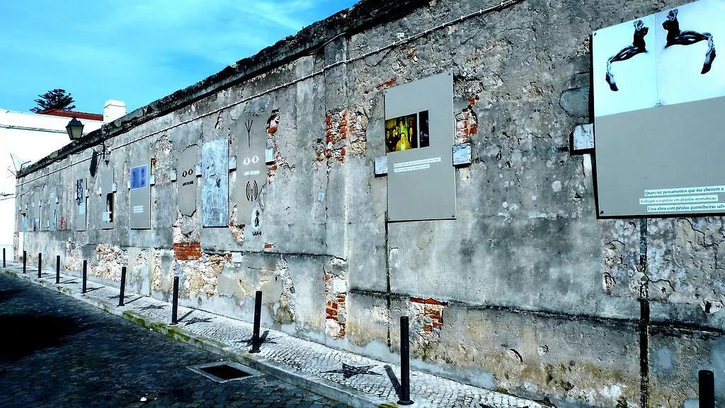 The Back Yard Nest Apartment Lisbon