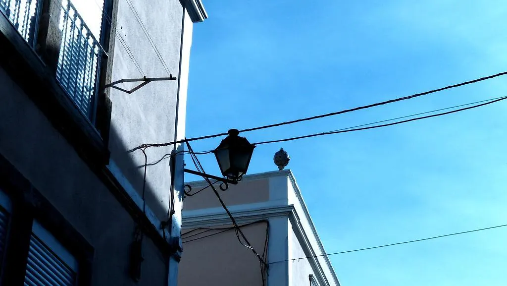 The Back Yard Nest Apartment Lisbon