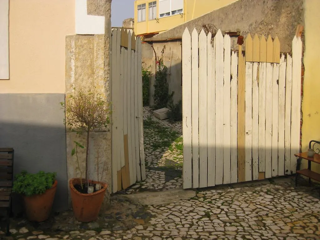 The Back Yard Nest Apartment Lisbon