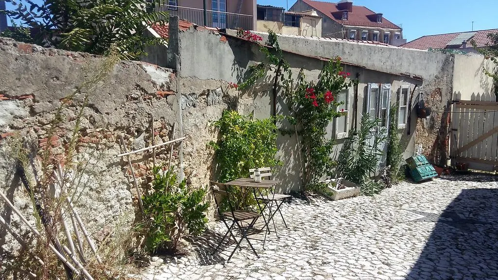 The Back Yard Nest Apartment Lisbon